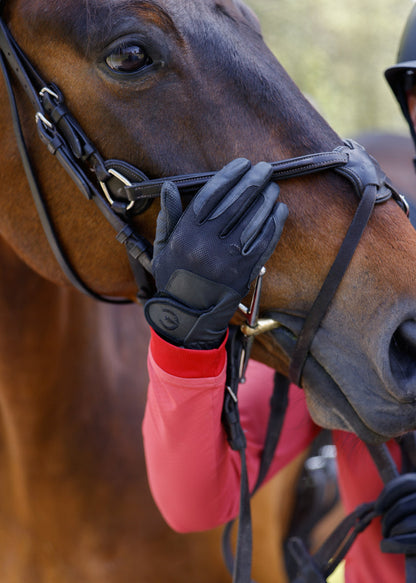 Riding Gloves 2.0